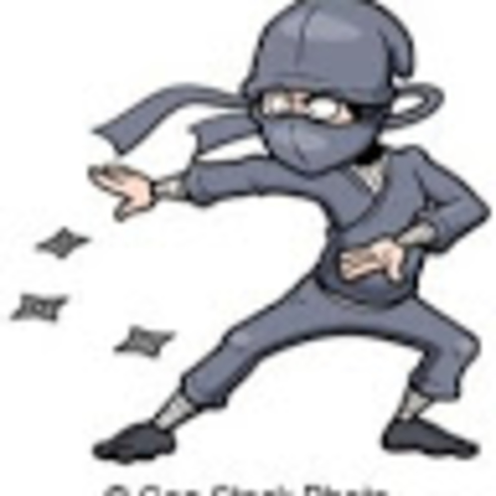 Meet your Posher, Ninja